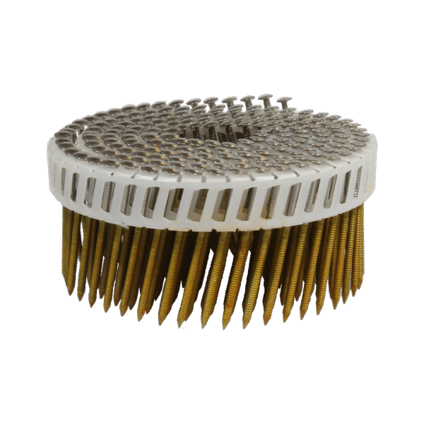 Plastic verbonden rolnagels RVS A2 met bollenskop